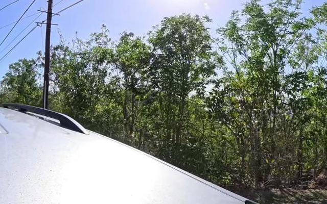 Vue depuis la rue — Déchetterie Terre-de-Bas