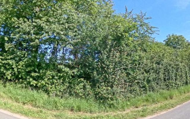 Vue depuis la rue — Déchetterie de Sainte-Sévère-sur-Indre