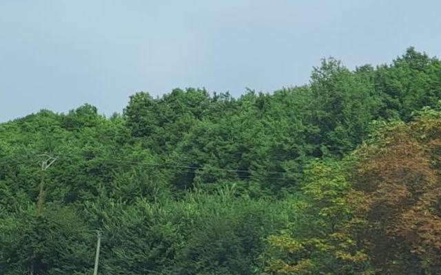 Vue depuis la rue — Déchetterie de Tallard
