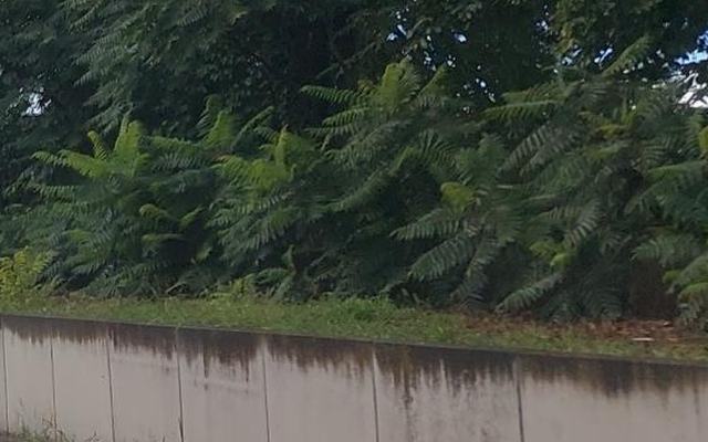 Vue depuis la rue — Déchetterie de Schweighouse-sur-Moder