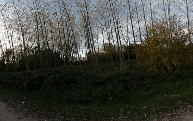 Vue depuis la rue — Déchetterie de Joigny