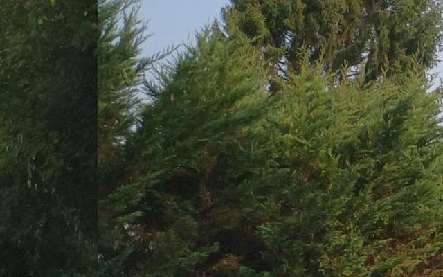 Vue depuis la rue — Déchetterie de Lahonce