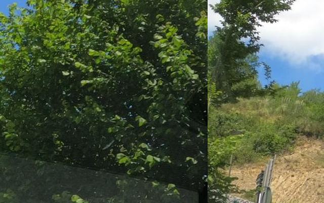 Vue depuis la rue — Déchetterie de Villefranque