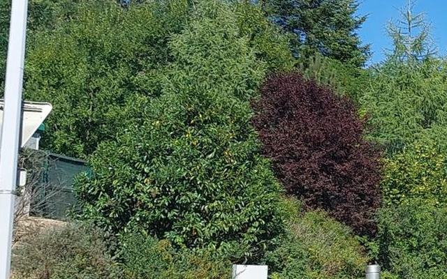 Vue depuis la rue — Déchetterie de Pont de Roide